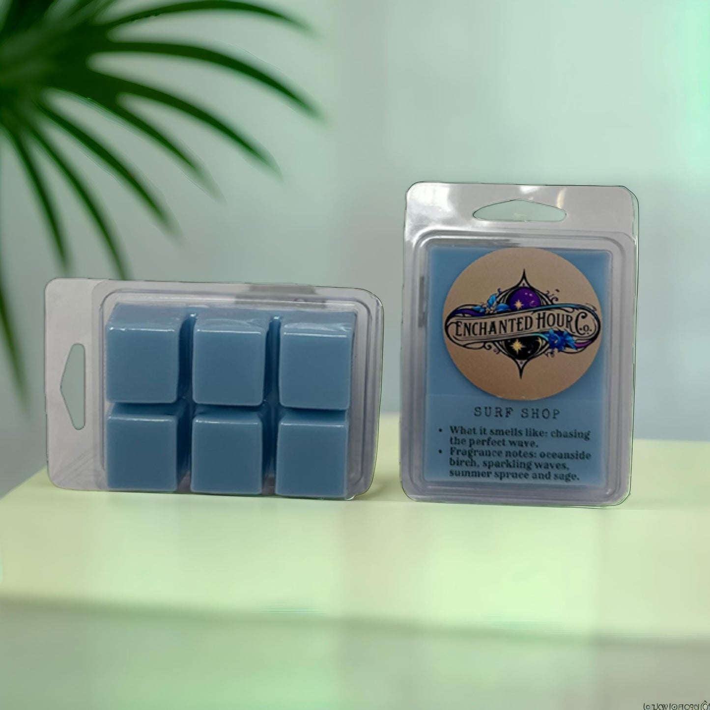 Surf Shop Wax Melts | Bath and Body Works Wax Melts | Coastal Breeze & Ocean Waves Scent | Enchanted Hour Co.