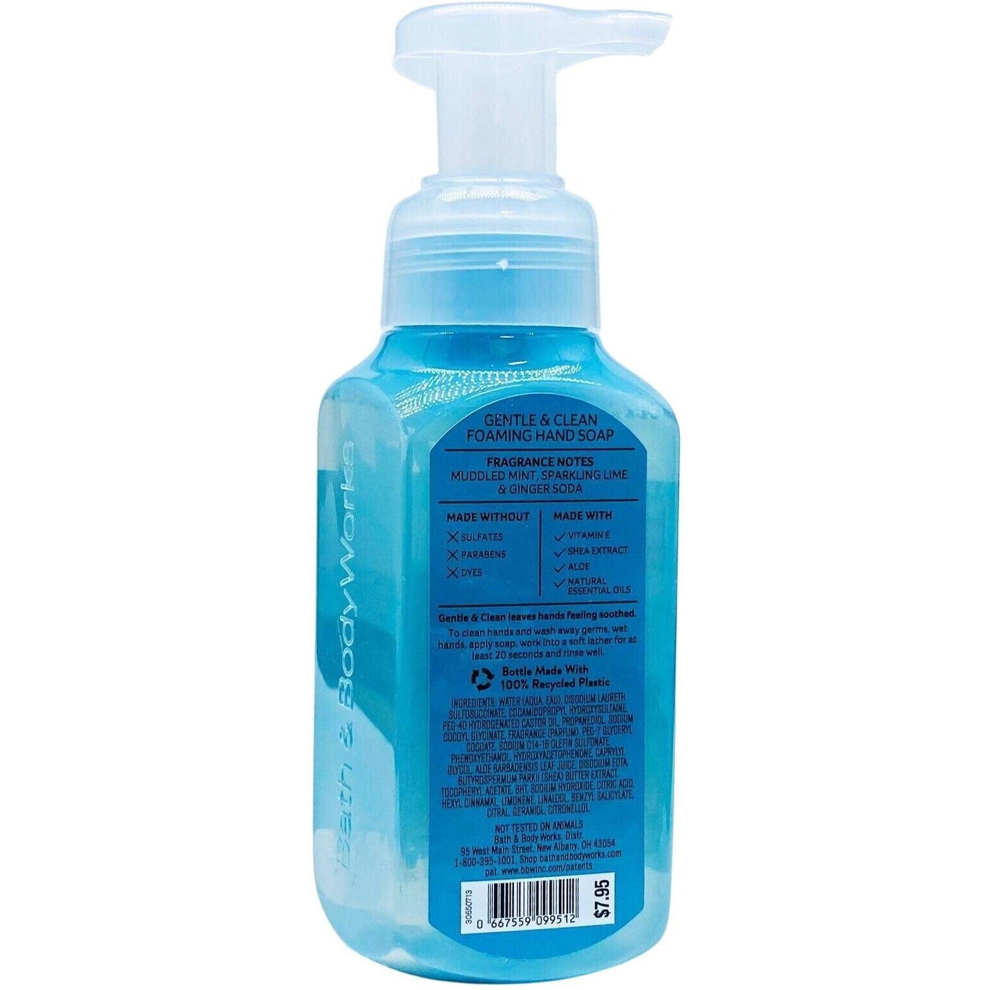 Bath & Body Works Cocktail Garden Gentle Foaming Hand Soap