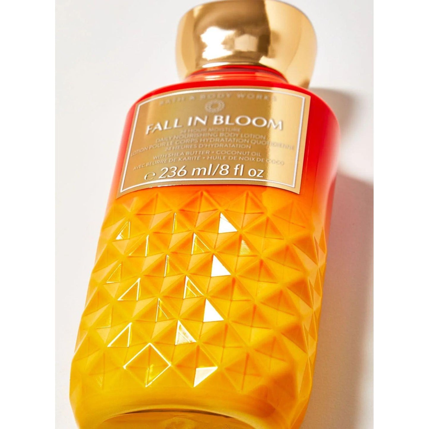 Bath & Body Works Fall In Bloom Daily Nourishing Body Lotion