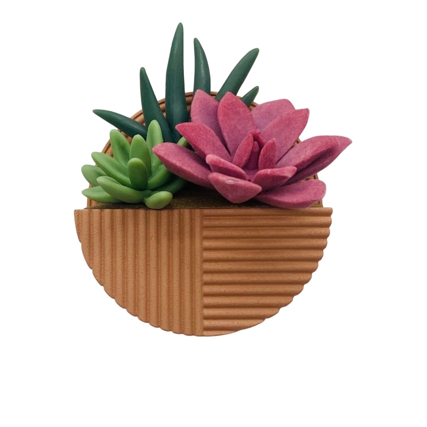 Wall Flower Wallflower Succulent Planter Plug