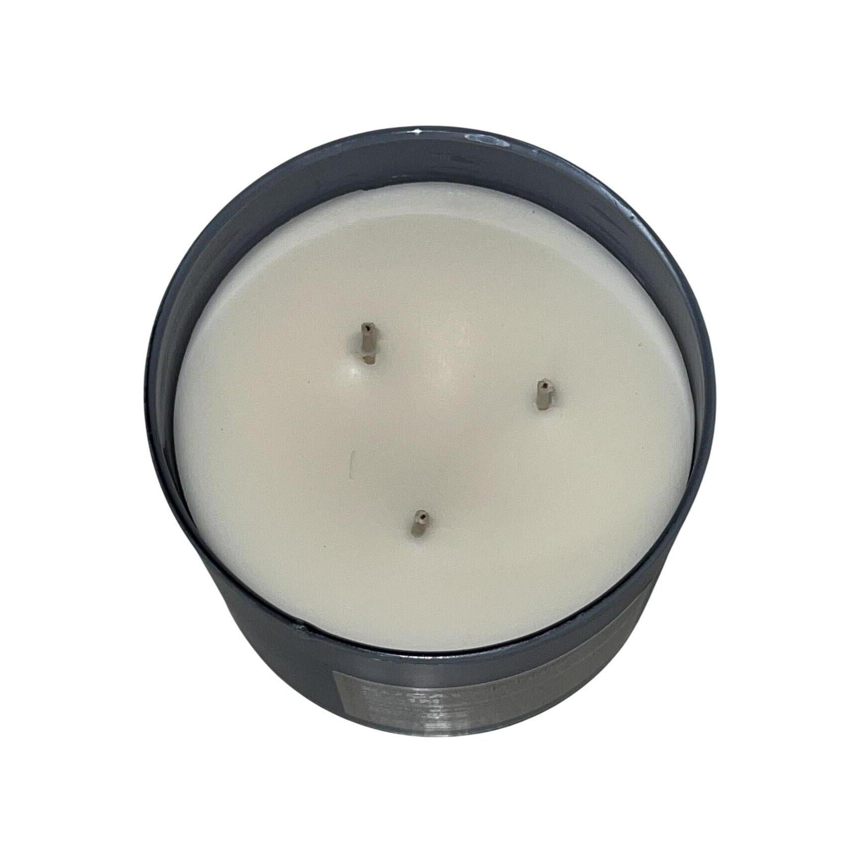 Bath & Body Works Eucalyptus Rain White Barn 3-Wick Candle (White Barn) 