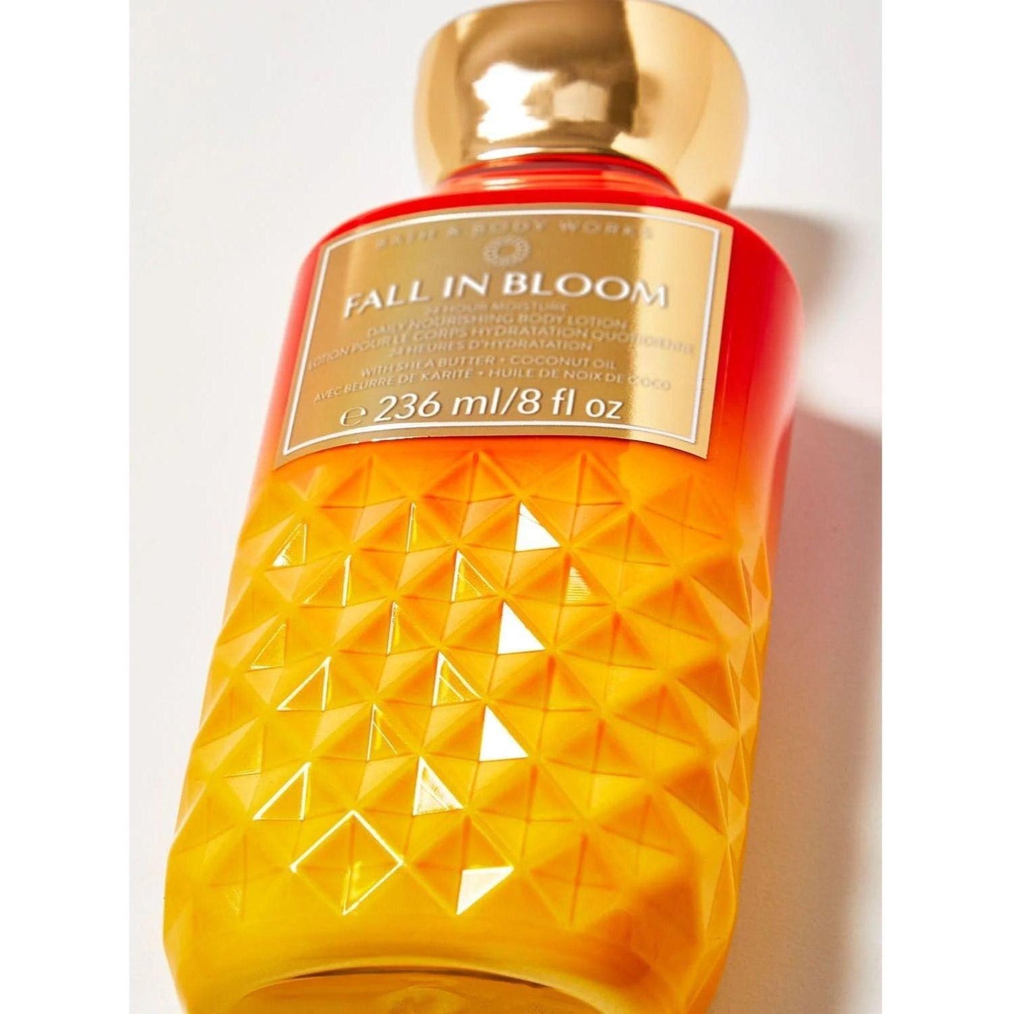 Bath & Body Works Fall in Bloom Daily Nourishing Body Lotion 
