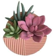 Bath & Body Works Wall Flower Wallflower Succulent Planter Plug 